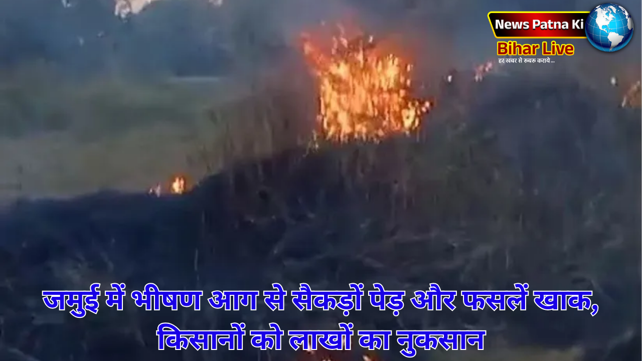 Jamui Fire : जमुई में भीषण आग से सैकड़ों पेड़ और फसलें खाक, किसानों को लाखों का नुकसान