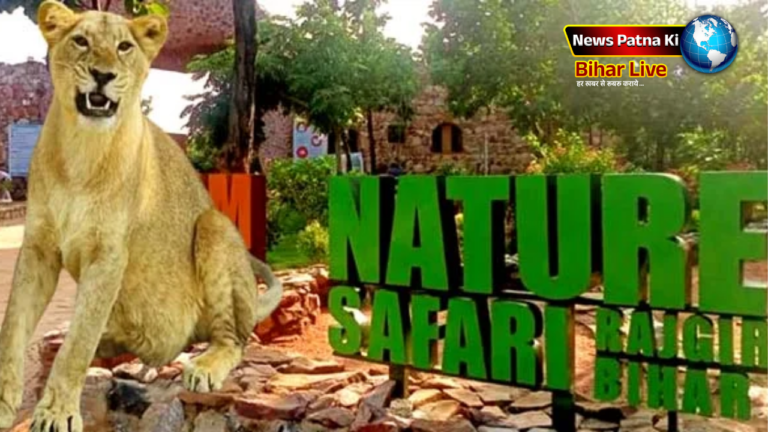 Nature and Zoo Safari
